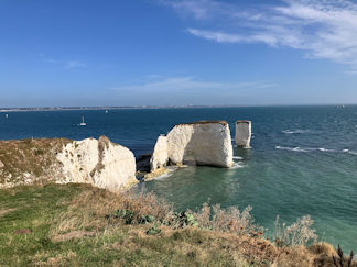 view